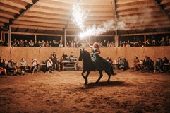 Oslavy Slunovratu / SHIVERS