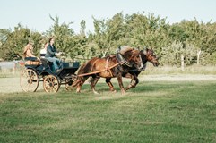 Oslavy Slunovratu / SHIVERS