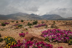 Expe Night - Pamír Highway