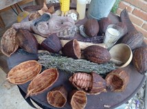 Cacao Singing with Phoenix Maria