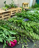 Kulturou proti chátrání, z.s. 