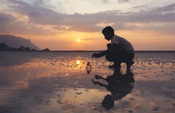 Sokotra: (ne)dotčený ráj