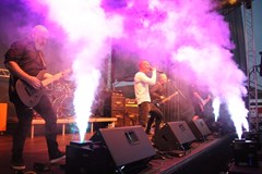 Rockovej Královák XIV.