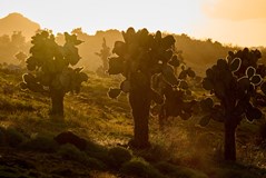 GALAPÁGY | cestovatelská přednáška Tomáše Grima