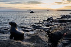 GALAPÁGY | cestovatelská přednáška Tomáše Grima