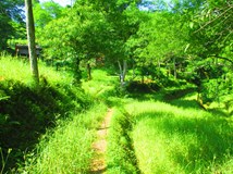 Nepál – mizející divočinou na Mera Peak