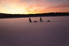 Iglú - dům ze sněhu a ledu