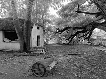 Festival Bartkův mlýn