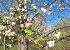Festival Bartkův mlýn