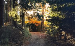 Workshop "Strach jako klíč ke změně života"