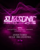 Subsonic (UK): Frequencies tour / Brno