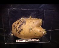 Schallschatten • Loré Lixenberg & Elia Moretti