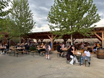 Lednické vinné trhy 2026