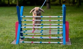 JARNÍ TRH NA ZÁMKU KŘINEC | PROHLÍDKY PRO DOSPĚLÉ