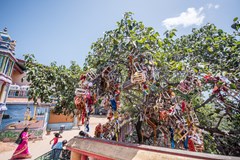 Srí Lanka - Povídání o ráji