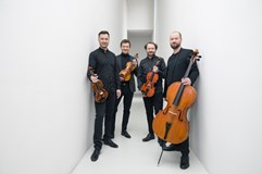 Michal Pavlíček & Monika Načeva & Pavel Bořkovec quartet