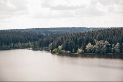 Medlovský prvorepublikový ples