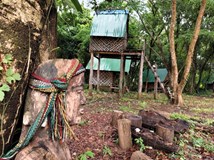 Kambodža -  Mizející svět horských kmenů