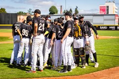 Draci Brno Baseball - sezónní permanentka 2026