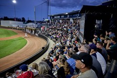 Draci Brno Baseball - sezónní permanentka 2026