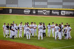 Draci Brno x Sokol Hluboká