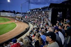 Draci Brno x Arrows Ostrava