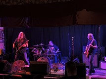 Bullshit - Gallows Hill - Mr. Katt