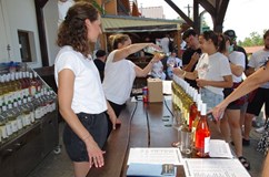 Jarní putování vinnými sklepy v Čejči