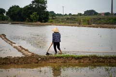 Cestovat Vietnamem jako král