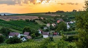 Jarní putování vinnými sklepy v Čejči 2026