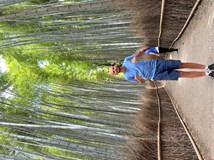 Japonsko - země úcty, respektu a štědrosti