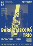 Kulturní prostor AULA: Bára Zmeková trio