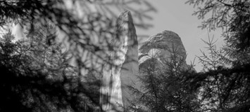 Věčná touha ∞ Liberec