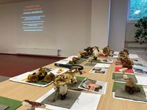 HOUBAŘSKÝ KURZ s Danielou