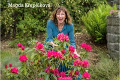 Festival Esence života