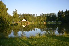 Festival Esence života