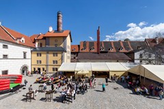 Letňák v kině – 11. ročník: Kde domov můj?