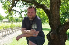 Wine & Food fest Čejč