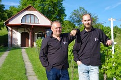 Wine & Food fest Čejč