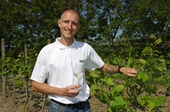 Wine & Food fest Čejč