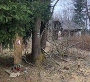 Po stopách Ignis Fatuus – procházka s Petrou Klabouchovou