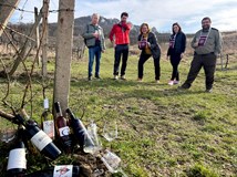 Putování pálavskými vinicemi  z Věstonic do Věstonic