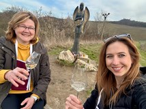 Putování pálavskými vinicemi  z Věstonic do Věstonic