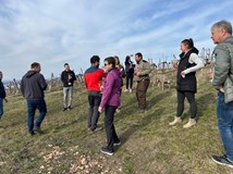 Putování pálavskými vinicemi  z Věstonic do Věstonic