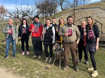 Putování pálavskými vinicemi  z Věstonic do Věstonic