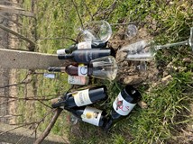 Putování pálavskými vinicemi  z Věstonic do Věstonic