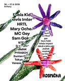 Festival Rosnička 2026