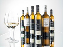 Degustace vinařství Volařík