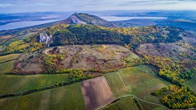 Degustace vinařství Volařík