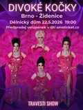 Travesti Divoké kočky v Brně-Židenicích